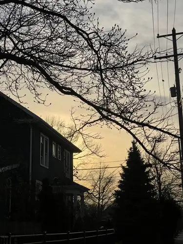 Quiet moments as the sky turns gold.